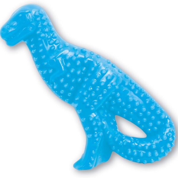 Dental Dinosaur Puppy Chew Toy - Puppy Chew Toy for Teething - Puppy Supplies - Chicken Flavor, Small/Regular (1 Count)
