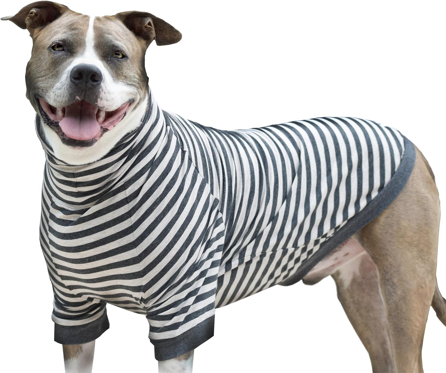 Big Dog Stripe Shirt Pullover Full Belly Coverage (Large)