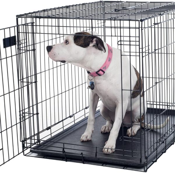 36-inch Dog Crate - Double Door Pet Kennel with Divider Panel - Foldable Dog Cage with Carry Handle for Portability and Storage by  (Black)